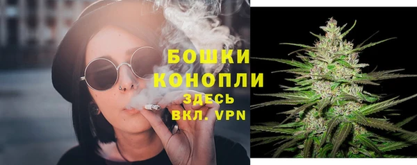 прущие крисы Пестово
