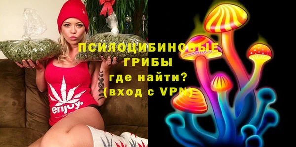 хмурый Покачи
