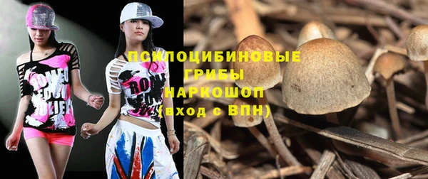 дживик Переславль-Залесский