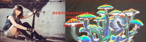 хмурый Покачи
