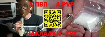 стафф Гатчина
