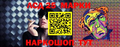 стафф Гатчина