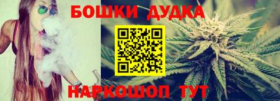 стафф Гатчина