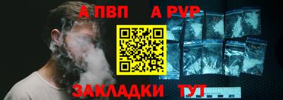 стафф Гатчина