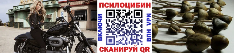 shop какой сайт  ОМГ ОМГ зеркало  Амурск  Псилоцибиновые грибы прущие грибы 
