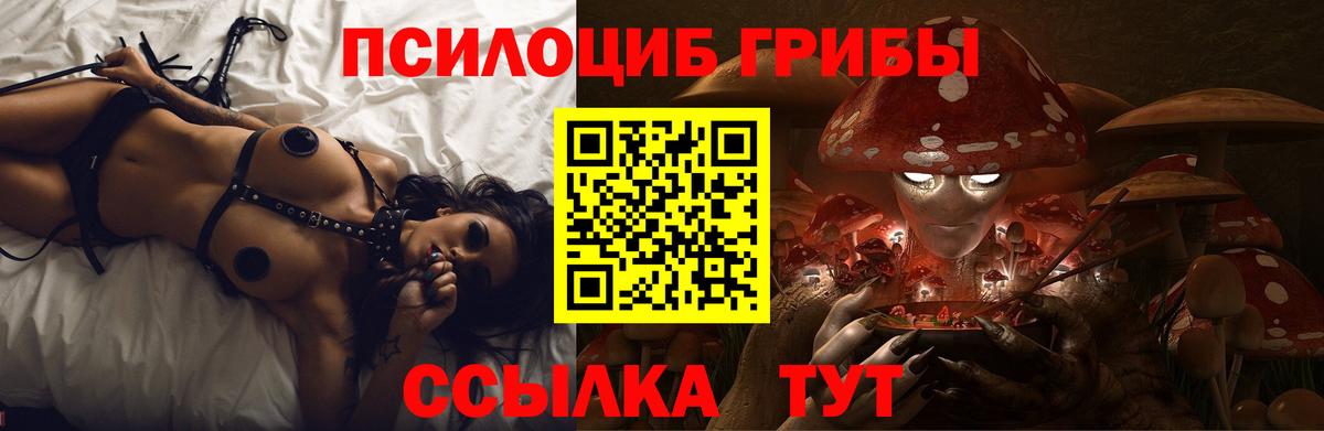 Амурск  Галлюциногенные грибы прущие грибы  Вход с VPN 
