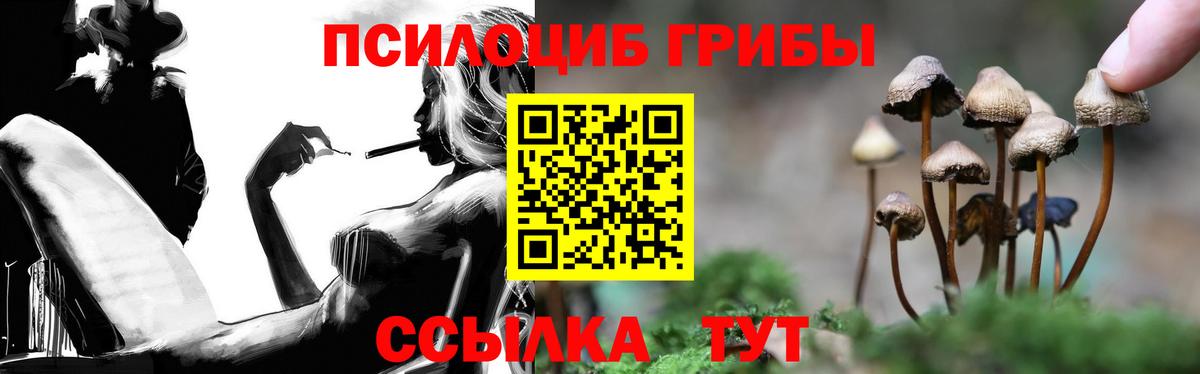 Псилоцибиновые грибы MAGIC MUSHROOMS  Вход с VPN  Амурск  Псилоцибиновые грибы Psilocybe 